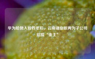 华为哈勃入股四年后，云南锗业欲再为子公司招揽“金主”