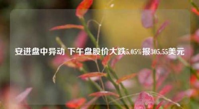 安进盘中异动 下午盘股价大跌5.05%报305.55美元