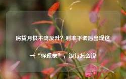 房贷月供不降反升？利率下调后出现这一“怪现象”，银行怎么说