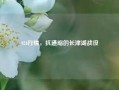 924行情，抗通缩的长津湖战役