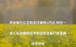 农业银行公主岭支行被罚25万元 时任一员工私自挪用经手的贷款及客户资金被终身禁业