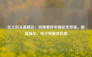 化工巨头英威达：持续看好中国尼龙市场，新能源车、电子等需求旺盛