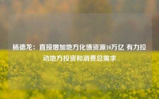 杨德龙：直接增加地方化债资源10万亿 有力拉动地方投资和消费总需求