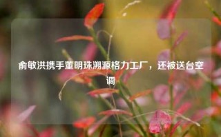 俞敏洪携手董明珠溯源格力工厂，还被送台空调