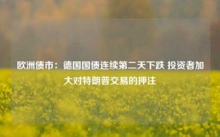 欧洲债市：德国国债连续第二天下跌 投资者加大对特朗普交易的押注