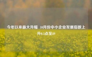 今年以来最大升幅  10月份中小企业发展指数上升0.3点至89