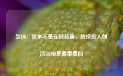 赵扬：资本不是在做慈善，给投资人创造回报是最重要的