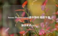 Sonoma Pharmaceuticals盘中异动 临近午盘股价大跌6.51%