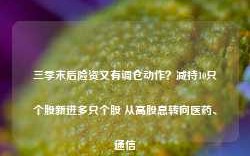 三季末后险资又有调仓动作？减持10只个股新进多只个股 从高股息转向医药、通信