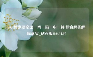 2024管家婆必出一肖一码一中一特:综合解答解释落实_钻石版2024.11.07