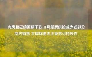 内房股延续近期下跌 11月新房供给减少或部分制约销售 大摩称需关注复苏可持续性