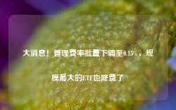 大消息！管理费率批量下调至0.15%，规模最大的ETF也降费了