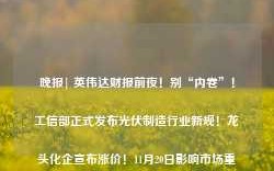 晚报| 英伟达财报前夜！别“内卷”！工信部正式发布光伏制造行业新规！龙头化企宣布涨价！11月20日影响市场重磅消息汇总