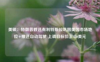 美银：特朗普胜选有利特斯拉巩固美国市场地位+推进自动驾驶 上调目标价至350美元