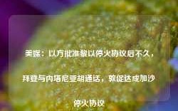 美媒：以方批准黎以停火协议后不久，拜登与内塔尼亚胡通话，敦促达成加沙停火协议