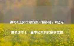 晨鸣纸业65个银行账户被冻结，18亿元债务还不上，董事长夫妇已提前离职