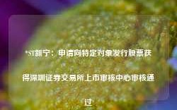 *ST新宁：申请向特定对象发行股票获得深圳证券交易所上市审核中心审核通过