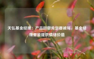 天弘基金经理：产品回撤肯定要被骂，基金经理要能提供情绪价值