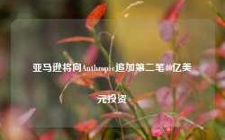 亚马逊将向Anthropic追加第二笔40亿美元投资