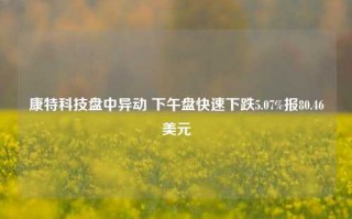 康特科技盘中异动 下午盘快速下跌5.07%报80.46美元