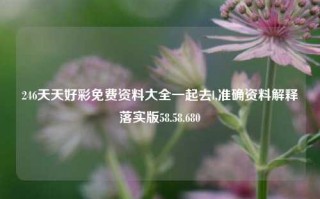 246天天好彩免费资料大全一起去l,准确资料解释落实版58.58.680