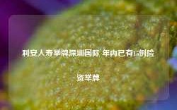 利安人寿举牌深圳国际 年内已有15例险资举牌