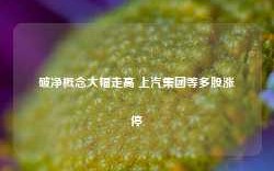 破净概念大幅走高 上汽集团等多股涨停