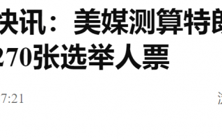 新澳门资料大全正版资料2024年免费下载,家野中特:综合解答解释落实_青铜版2024.11.03