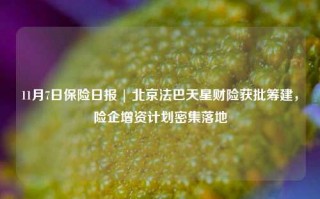 11月7日保险日报 | 北京法巴天星财险获批筹建，险企增资计划密集落地