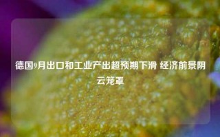 德国9月出口和工业产出超预期下滑 经济前景阴云笼罩