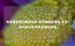 医保基金预付新政出炉 医药板块迎暴涨 专家：或为医疗机构资金周转泄压