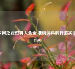 齐中网免费资料大全全,准确资料解释落实版58.58.704