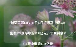 最受青睐ETF：11月25日汇添富中证A500指数ETF获净申购17.44亿元，华夏科创50ETF获净申购15.06亿元