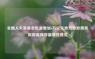 全国人大常委会批准增加6万亿元地方政府债务限额置换存量隐性债务