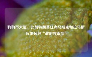 狗狗币大涨，此前特朗普任命马斯克和拉马斯瓦米领导“政府效率部”