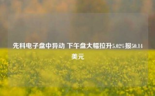 先科电子盘中异动 下午盘大幅拉升5.02%报50.14美元