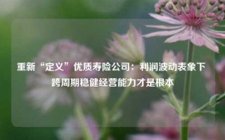 重新“定义”优质寿险公司：利润波动表象下 跨周期稳健经营能力才是根本