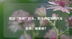 昔日“果链”巨头，如今持续加码汽车业务，啥意思？