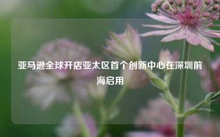 亚马逊全球开店亚太区首个创新中心在深圳前海启用