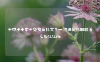 王中王王中王免费资料大全一,准确资料解释落实版58.58.696