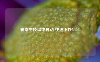 寰泰生技盘中异动 快速下挫5.12%