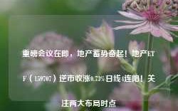 重磅会议在即，地产蓄势奋起！地产ETF（159707）逆市收涨0.73%日线4连阳！关注两大布局时点