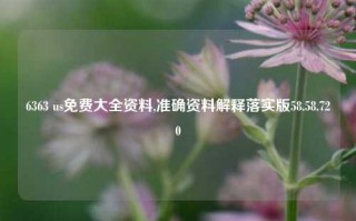 6363 us免费大全资料,准确资料解释落实版58.58.720