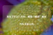 发生了什么？红杉、高瓴“裸退”蔚来汽车关联公司