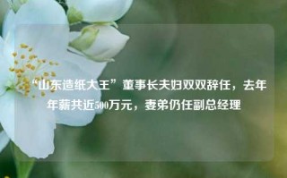 “山东造纸大王”董事长夫妇双双辞任，去年年薪共近500万元，妻弟仍任副总经理