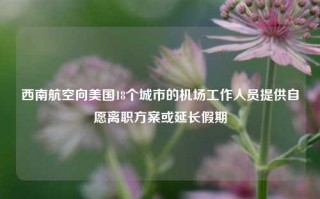 西南航空向美国18个城市的机场工作人员提供自愿离职方案或延长假期