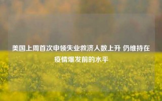 美国上周首次申领失业救济人数上升 仍维持在疫情爆发前的水平