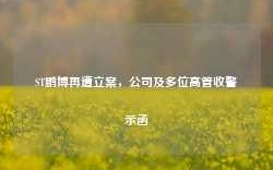 ST鹏博再遭立案，公司及多位高管收警示函