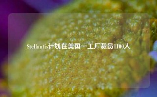 Stellantis计划在美国一工厂裁员1100人