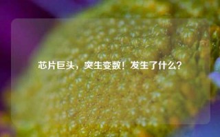 芯片巨头，突生变数！发生了什么？